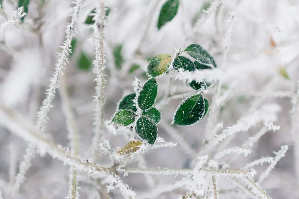 Inverno que se aproxima será atípico; El Niño trará temperaturas e chuvas acima da média em parte do país